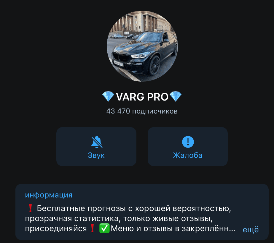 Телеграм канал Дмитрия Варгунина (Основателя Team “VARG”)