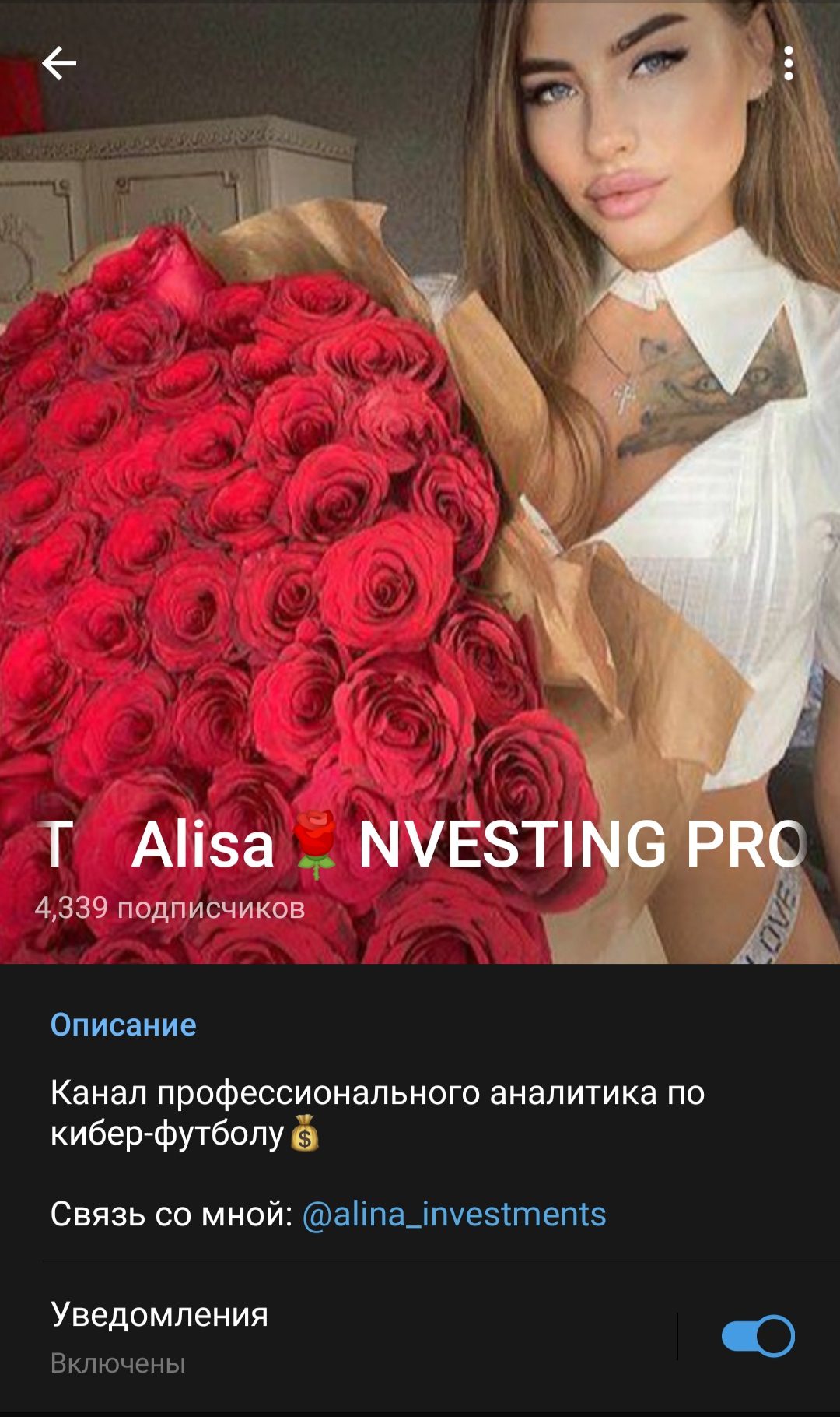 Телеграмм Alisa Investing Project