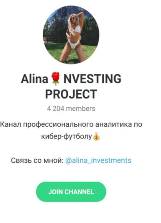 Alina Investing Project Телеграмм