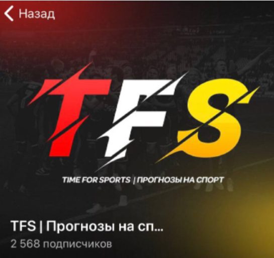 Телеграмм канал TFS