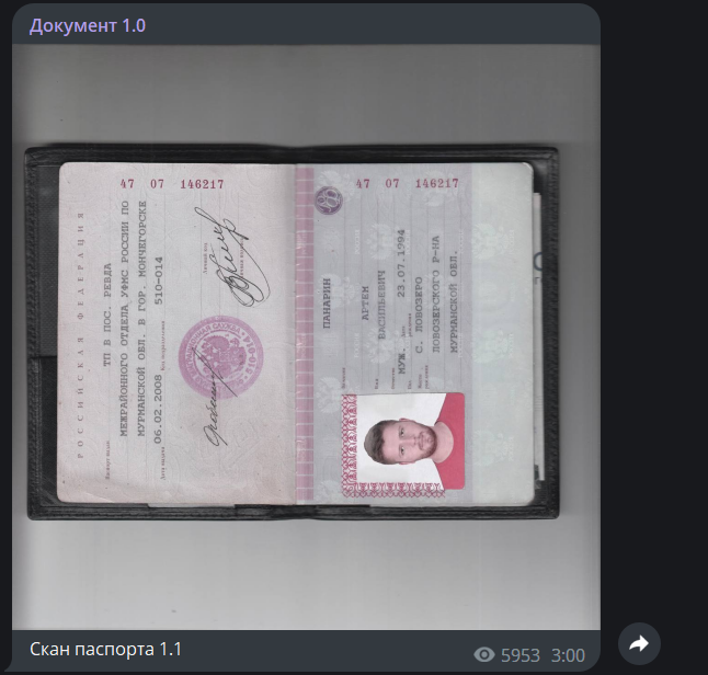Артём Панарин паспорт